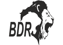 BDR Pharmaceuticals Internationals Pvt. Ltd.